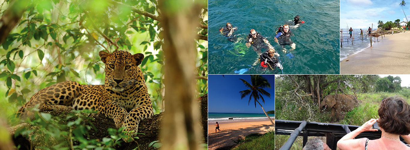 Explore Vacations - Our Trips