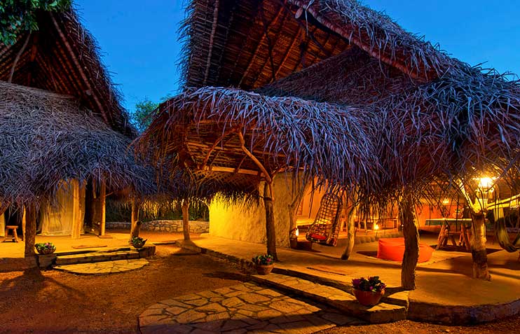 7 Nights 8 Days Sri Lanka Tour